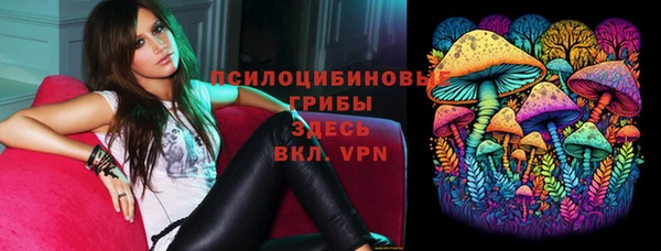 ПСИЛОЦИБИНОВЫЕ ГРИБЫ Белокуриха