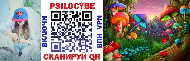 Псилоцибиновые грибы прущие грибы  Черноголовка 